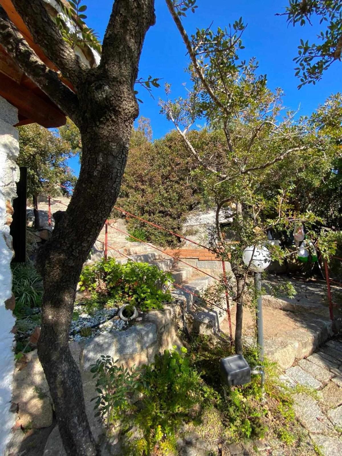 Sa Domu De Orri Al Mare Villa Tortoli Exterior photo