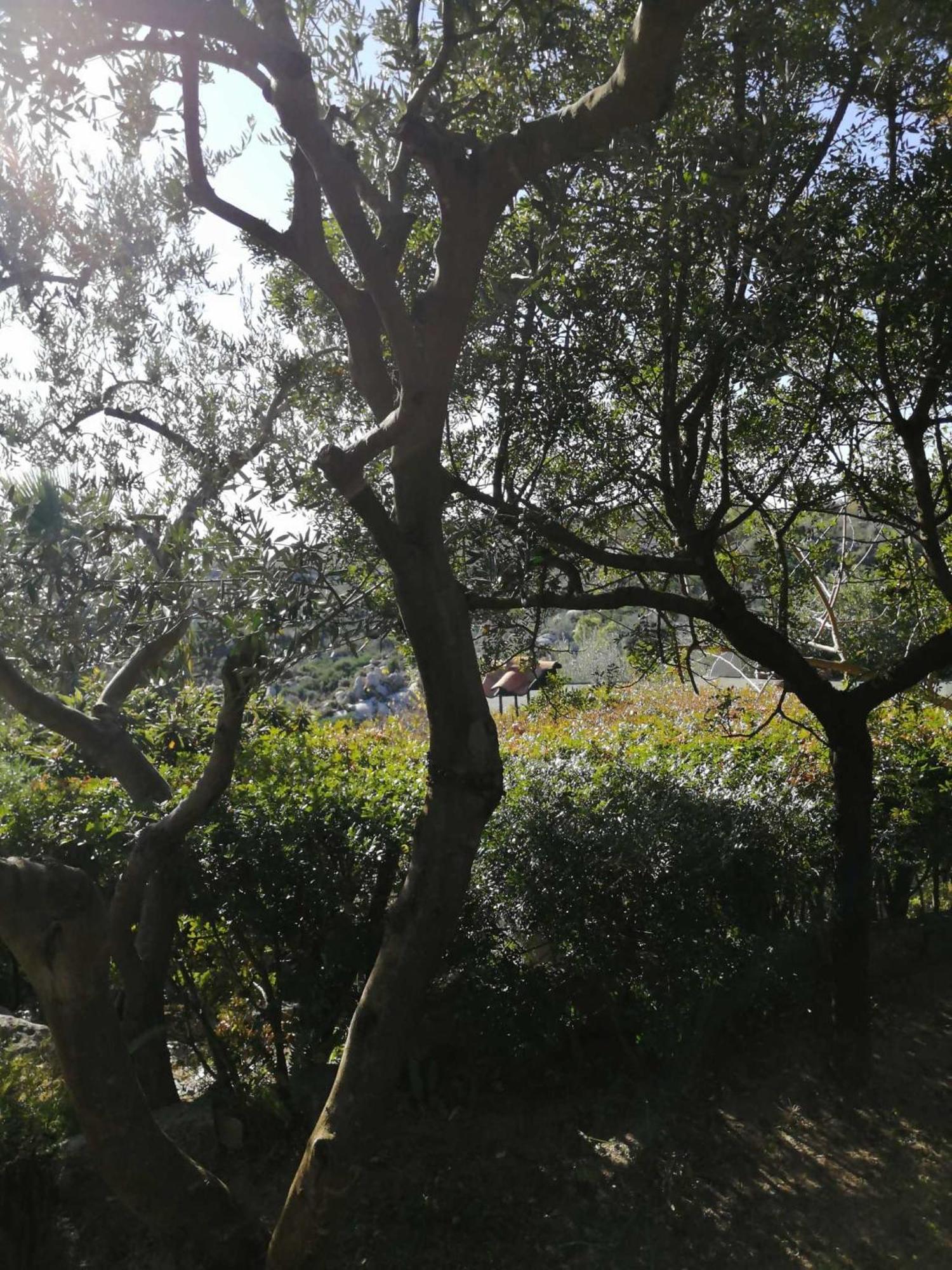 Sa Domu De Orri Al Mare Villa Tortoli Exterior photo